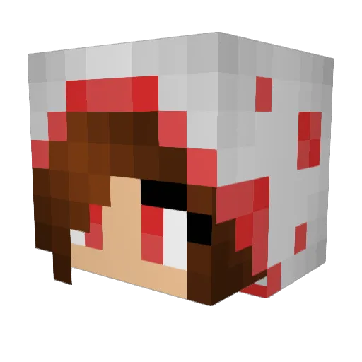 johnjohnsplash Minecraft avatar head, 3D render