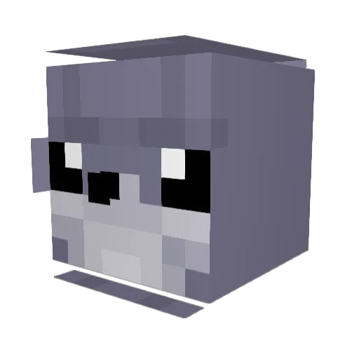 johnking05 Minecraft avatar head, 3D render