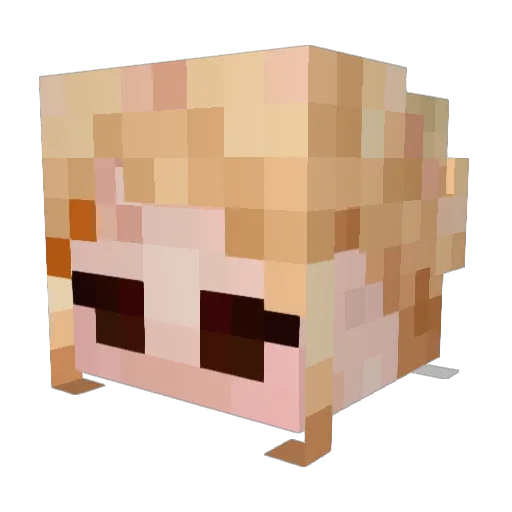 johnned098 Minecraft avatar head, 3D render