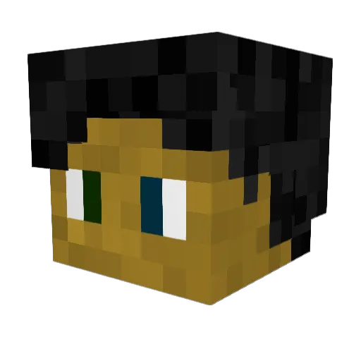 johnnyapollis Minecraft avatar head, 3D render