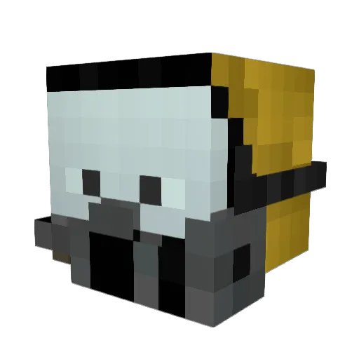 johnnyboy077 Minecraft avatar head, 3D render