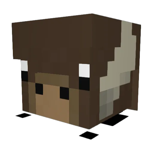 johnnybunny2410 Minecraft avatar head, 3D render