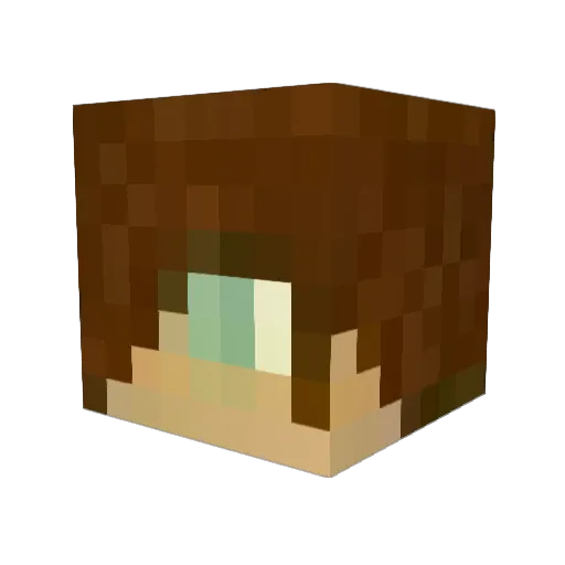 johnnyt305 Minecraft avatar head, 3D render