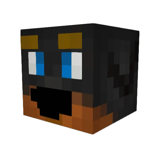 johnww11 Minecraft avatar head, 3D render