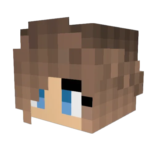 joi14 Minecraft avatar head, 3D render