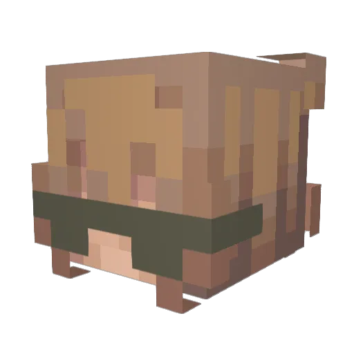 joiesq Minecraft avatar head, 3D render