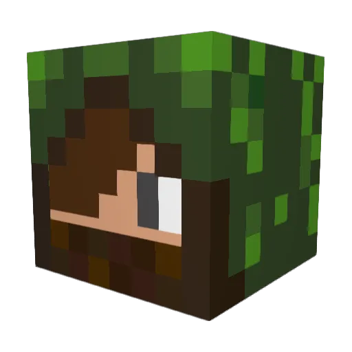 jojo92902 Minecraft avatar head, 3D render