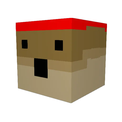 jojocat1 Minecraft avatar head, 3D render