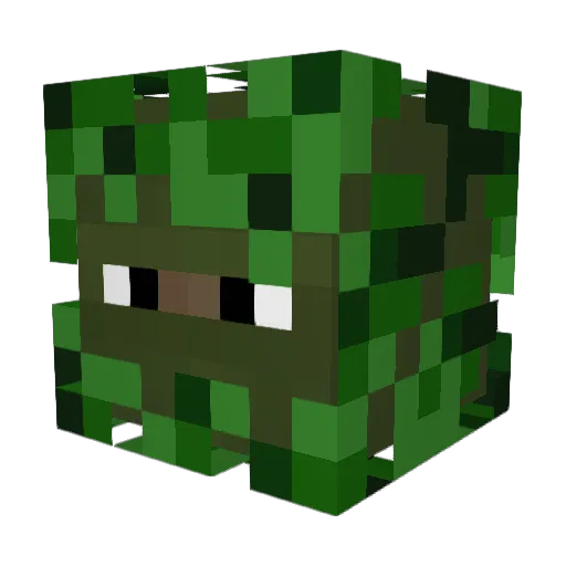 jojofifi Minecraft avatar head, 3D render