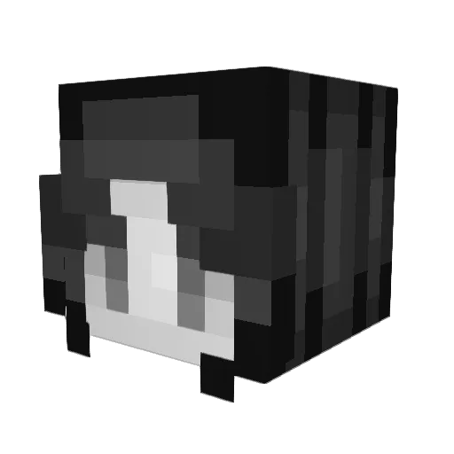 jojogamer1011 Minecraft avatar head, 3D render
