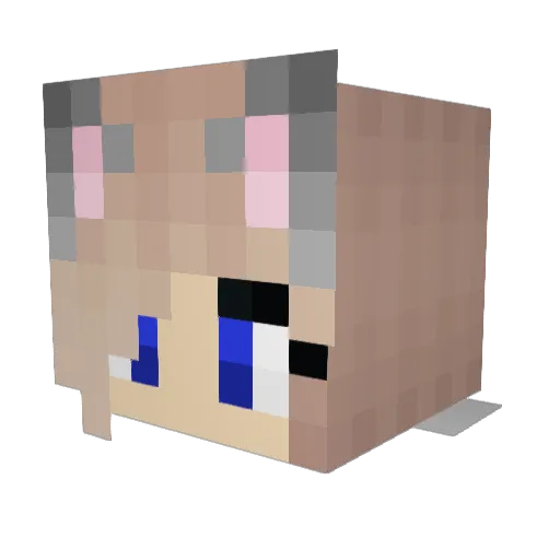 jojoisme1108 Minecraft avatar head, 3D render