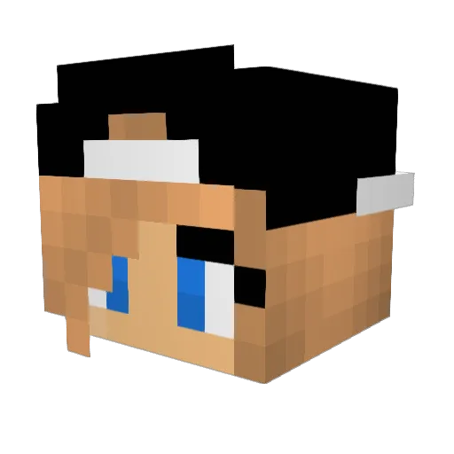 jojorocks135 Minecraft avatar head, 3D render