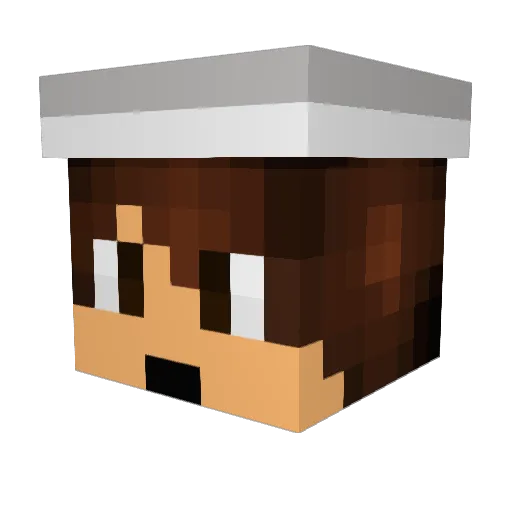 jokati Minecraft avatar head, 3D render