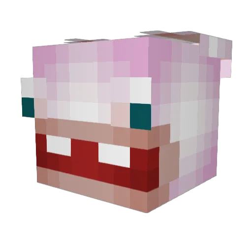 joke_9999 Minecraft avatar head, 3D render