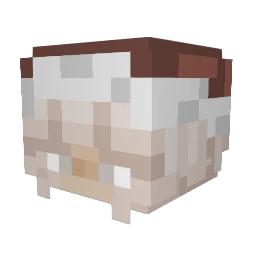 jokebye Minecraft avatar head, 3D render