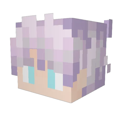 joker20041 Minecraft avatar head, 3D render