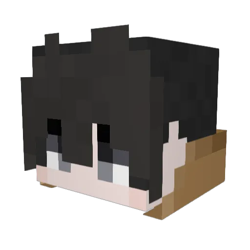 joker2313 Minecraft avatar head, 3D render