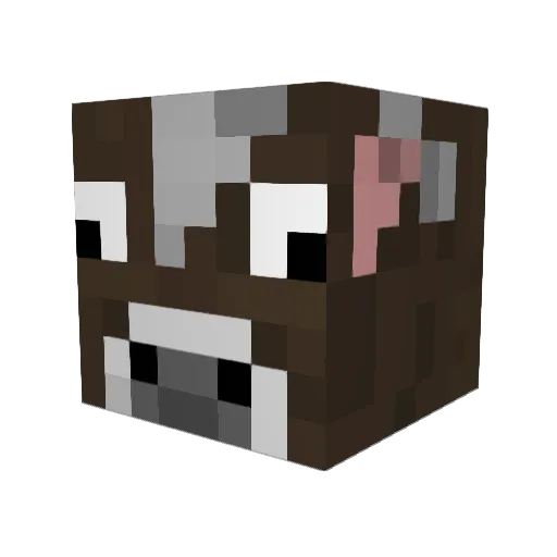 joker_989 Minecraft avatar head, 3D render