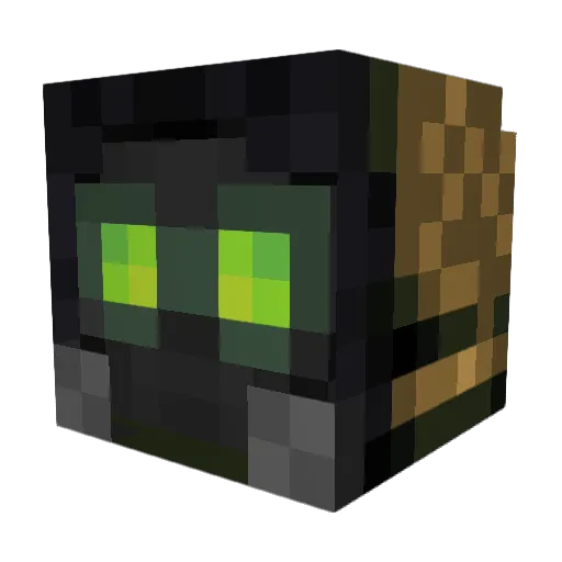 joker_wsc Minecraft avatar head, 3D render