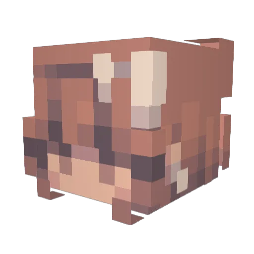 jokiver Minecraft avatar head, 3D render