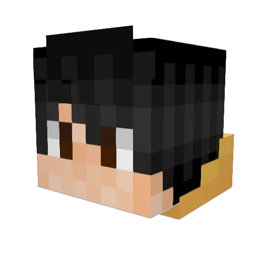 jokninja Minecraft avatar head, 3D render