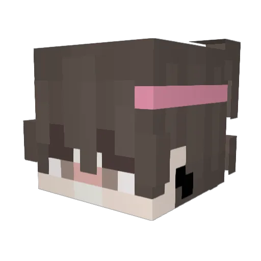 jokoYT Minecraft avatar head, 3D render