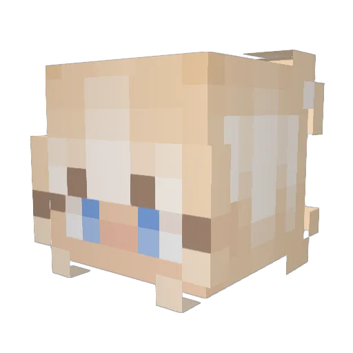jolalcy Minecraft avatar head, 3D render