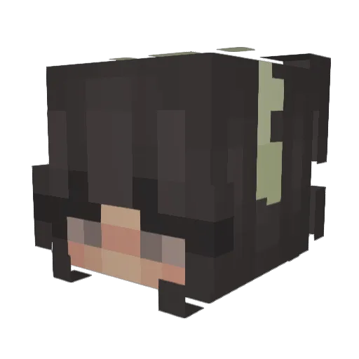 jolandraa Minecraft avatar head, 3D render
