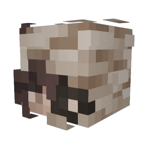 jolinchens Minecraft avatar head, 3D render