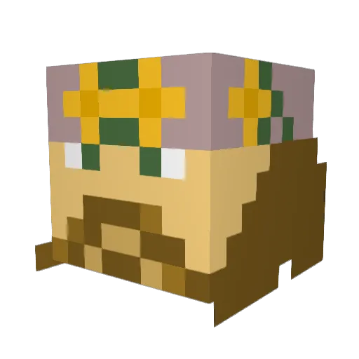 jolley2004 Minecraft avatar head, 3D render