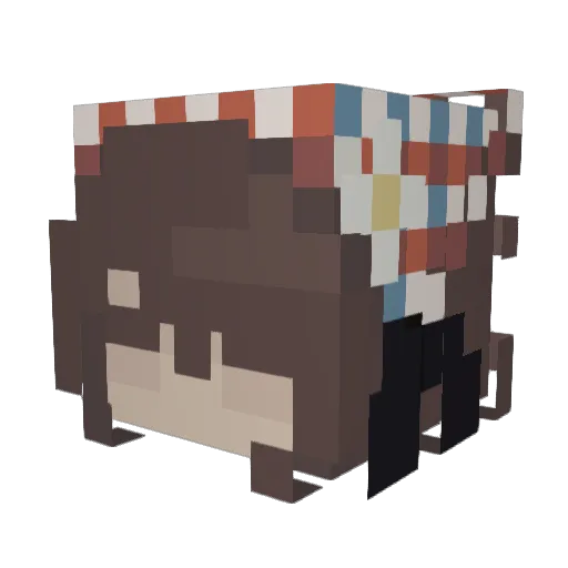jollybug Minecraft avatar head, 3D render