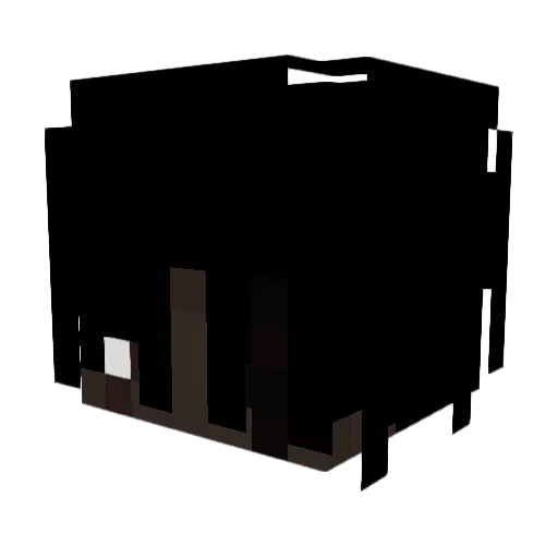 Minecraft-Avatar von jolofrice: Kopf als 3D-Render