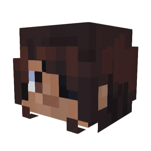 Minecraft-Avatar von jolteony: Kopf als 3D-Render