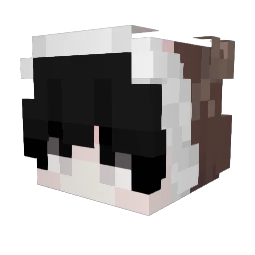 jolyeo Minecraft avatar head, 3D render