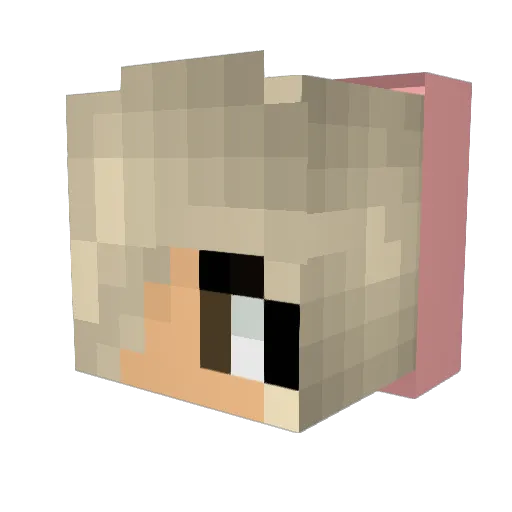 jolynne Minecraft avatar head, 3D render