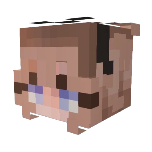 jompajj Minecraft avatar head, 3D render