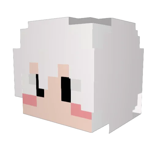 jonadans Minecraft avatar head, 3D render