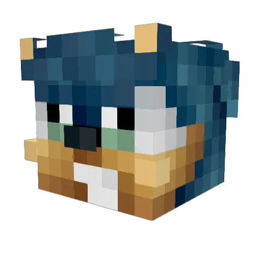 jonas10zZ Minecraft avatar head, 3D render