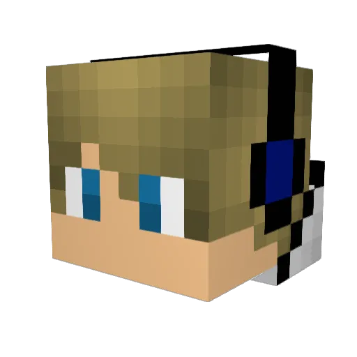 jonas1717 Minecraft avatar head, 3D render