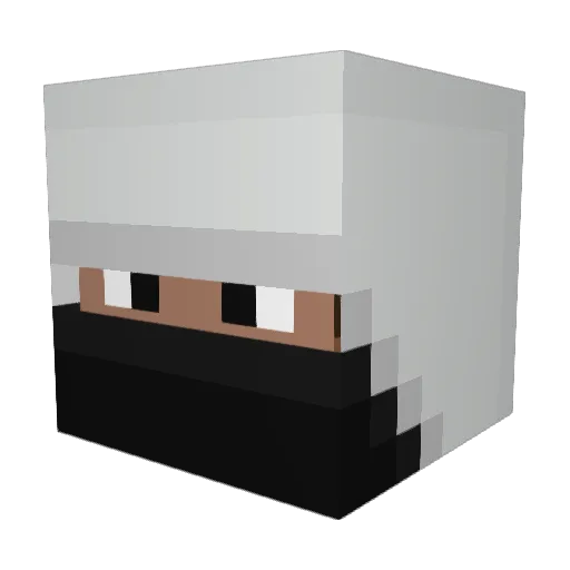jonas250 Minecraft avatar head, 3D render