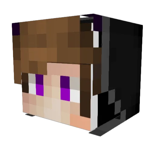jonas_Aleksander Minecraft avatar head, 3D render