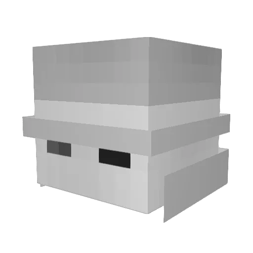 jonasbrotherpvp Minecraft avatar head, 3D render