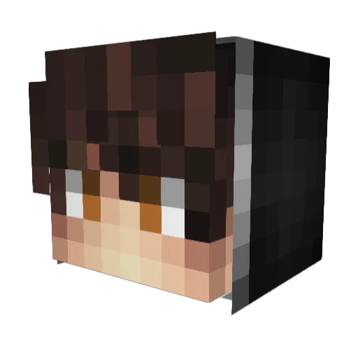 jonasek369 Minecraft avatar head, 3D render