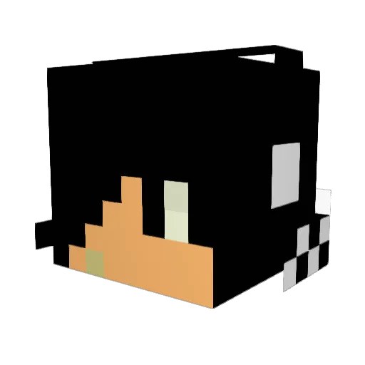 jonasesp Minecraft avatar head, 3D render