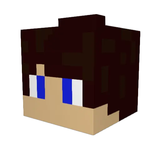 jonasg317 Minecraft avatar head, 3D render