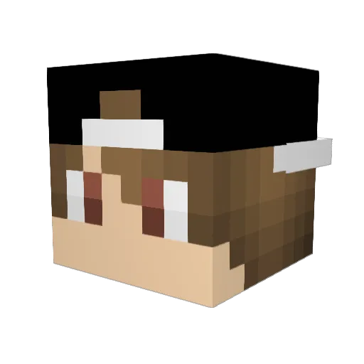 jonasjuel24 Minecraft avatar head, 3D render