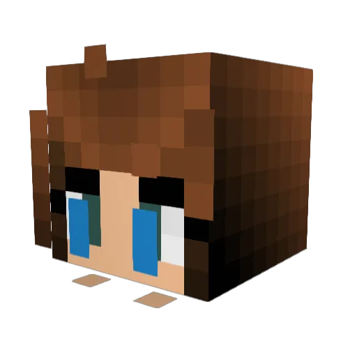 jonasti10 Minecraft avatar head, 3D render