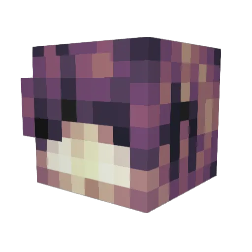 jonesy_181 Minecraft avatar head, 3D render