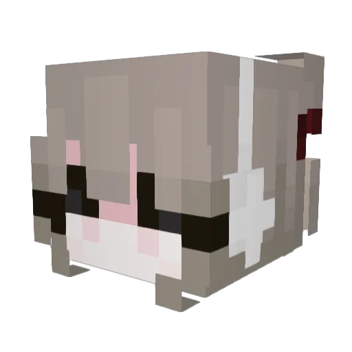 jongchani2010 Minecraft avatar head, 3D render