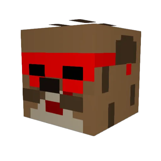 jongjong Minecraft avatar head, 3D render